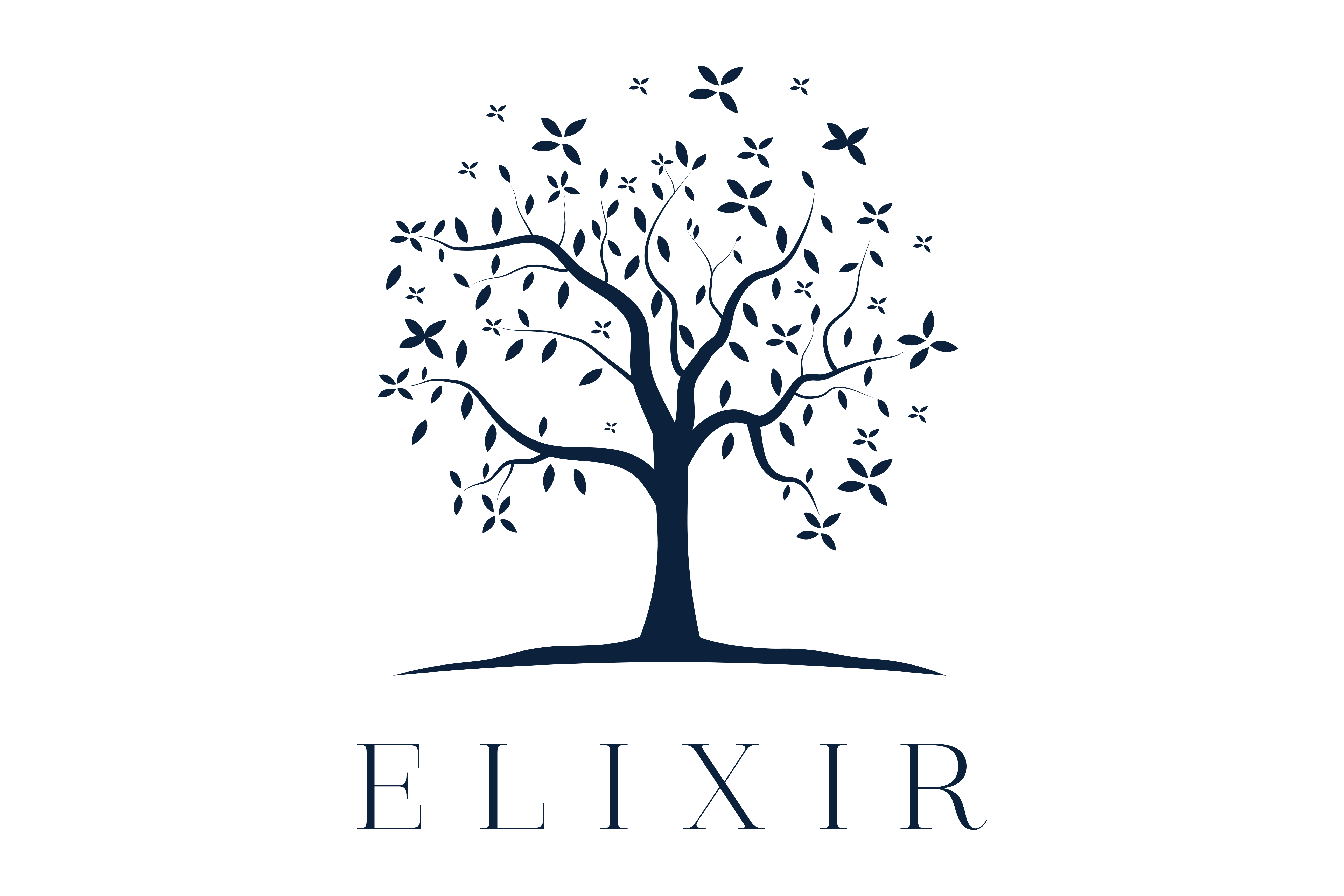                            ELIXIR                           